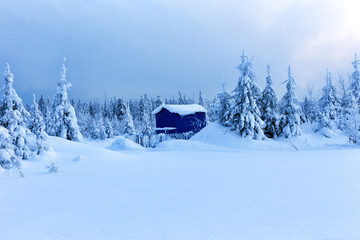 Lonely house in winter forest