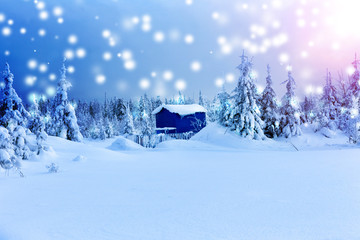 Lonely house in winter forest