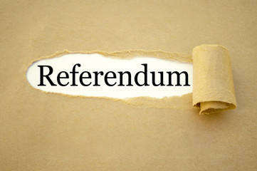 Referendum Abstimmung Wahl Wahlen