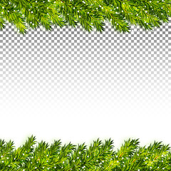 Christmas tree branches frame on transparent background vector