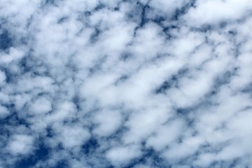 Obraz premium Blue Skies