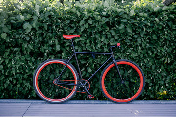 Red bycicle parked near bushes in park