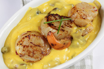 saint-jacques 15/11/2016