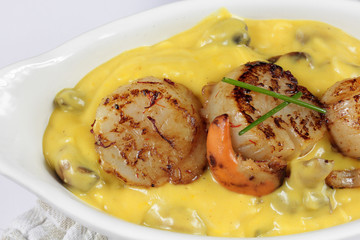 saint-jacques 15/11/2016