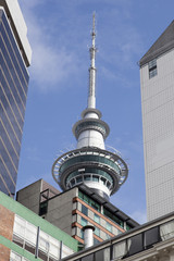 Obraz premium Auckland Urban Scenery