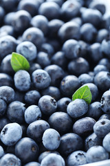 Ripe and tasty blueberries background