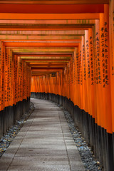 Fototapeta premium Świątynia Fushimi Inari w Kioto w Japonii