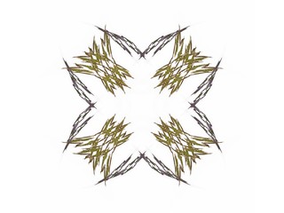 Abstract fractal with a dark green pattern