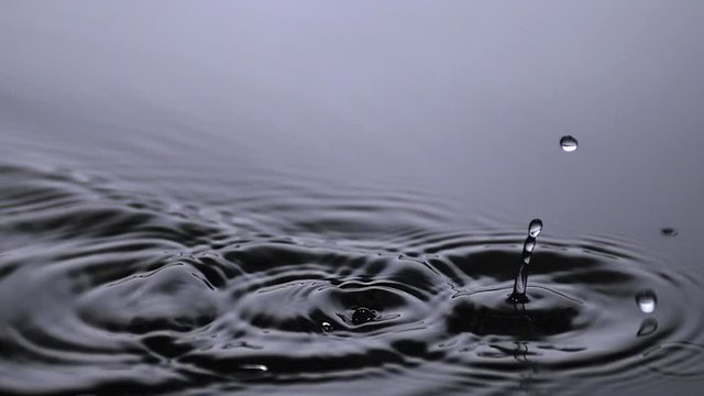 Drops of Water falling into Water against Grey background, Slow motion