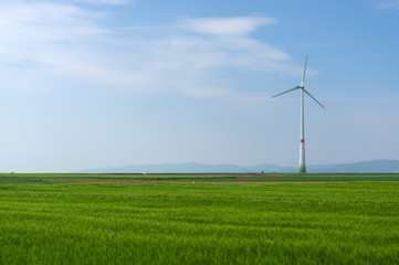 Fototapeta na wymiar green meadow with Wind turbines generating electricity
