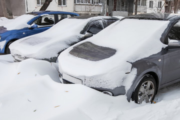 Cars covered in snow