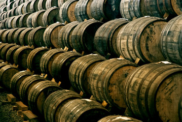 Wine barrels