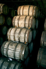 Wine barrels
