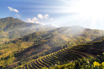 Rice fields on terraced mountain farm landscapes.