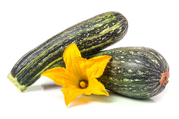 two zucchini with flower isolated on white background