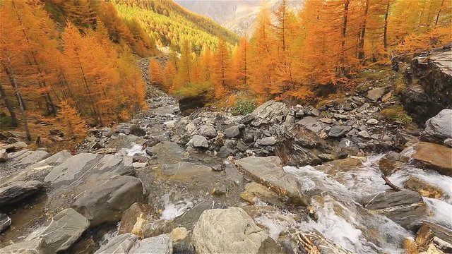 saisons d'automne dans les Alpes du Sud