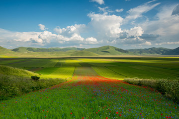 Castelluccio di Norcia
