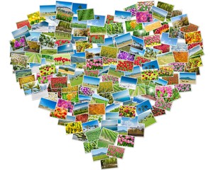 Obraz premium Various nature photos arranged in heart frame