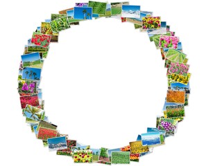 Various nature photos arranged in round frame