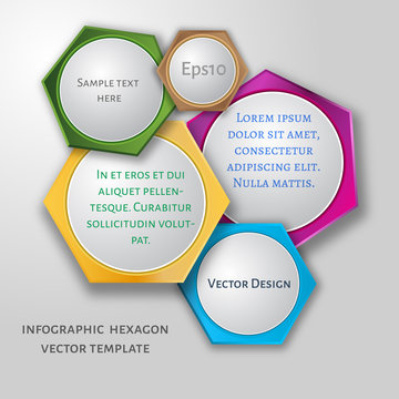 Vector circle hexagon infographic.