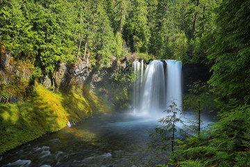 Fototapeta na wymiar Koosah Falls in Mc kenzie pass, Oregon.