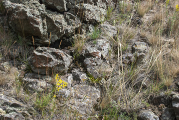 Stones on the mountain