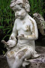 Fototapeta na wymiar little angel sculpture decorate in small garden