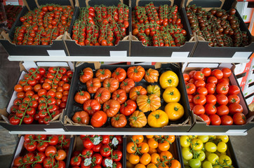boxes with colorful tomatoes