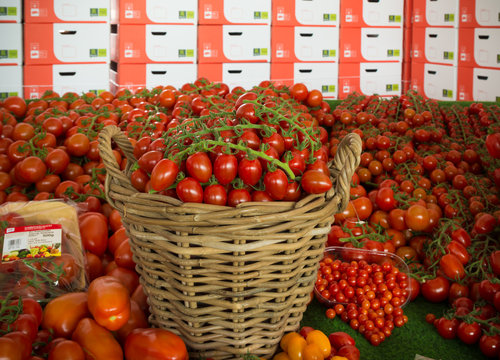 basket with red tomatoes