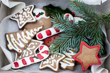 Fototapeta na wymiar Christmas. Gingerbread Cookie.