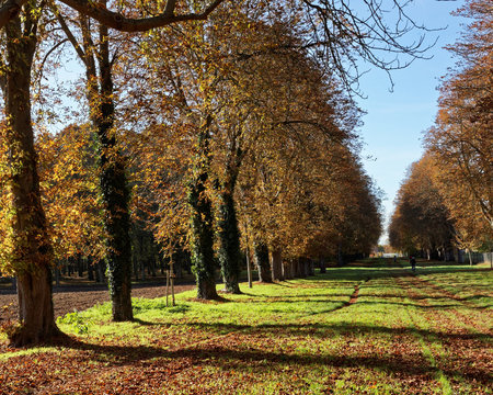 Parce de Versailles