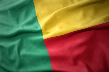 waving colorful flag of benin.