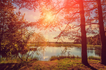 Naklejka na ściany i meble Fantastic sunset. Beautiful evening sunny landscape with trees, grass and river. majestic autumn landscape. Dramatic scenic summer scene. Beauty in the world. soft light effect