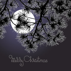 Handwritten words Merry Christmas, moon and pine branch.