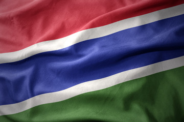 waving colorful flag of gambia.