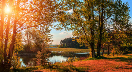A beautiful view by the lake  in forest during sunset in autumn evening. majestic sunset in nature. Fantastic river with fresh grass in the sunlight. wonderful sunny landscape.