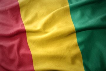 waving colorful flag of guinea.
