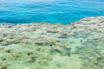 Clean blue sea with corals and reefs