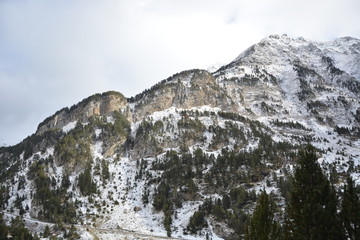 Monta&ntilde;a bosque con nieve