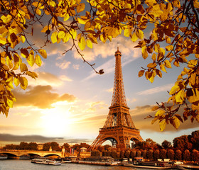 Naklejka na ściany i meble Eiffel Tower with autumn leaves in Paris, France