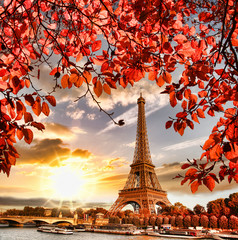 Plakat Eiffel Tower with autumn leaves in Paris, France