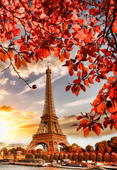 Fototapeta na wymiar Eiffel Tower with autumn leaves in Paris, France