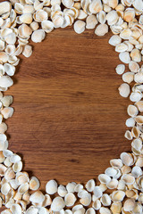 Sea shells on sand. Summer beach background. Top view. Seashells on a wooden table - a reminder of the summer vacation.