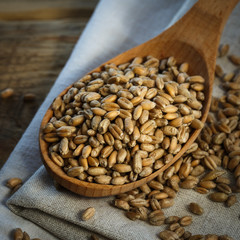 Wheat in a wooden spoon close-up
