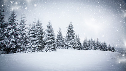 Fototapeta premium snowy winter landscape
