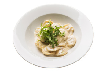 Italian gnocchi with gorgonzola cheese and arugula isolated on white