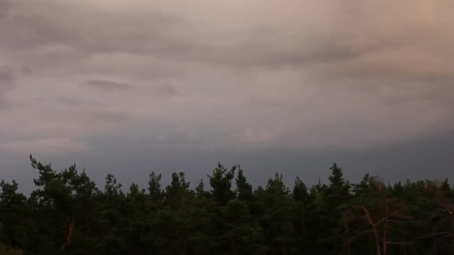 Timelapse ominous clouds and lightning over a wood.