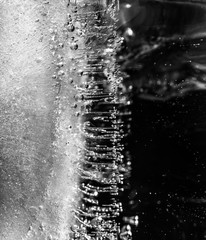 Micro air bubbles in the ice frozen during their movement to the water surface. 1 : 1 macro lens...