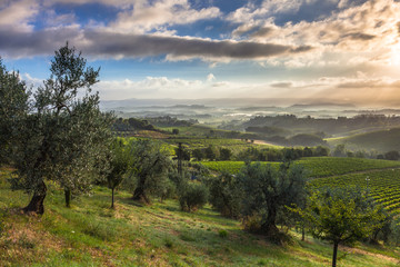 Early Morning Landscape in Tuscany