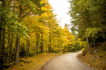Obraz premium Travel by car on the roads of the Pyrenees in Spain in the autumn.